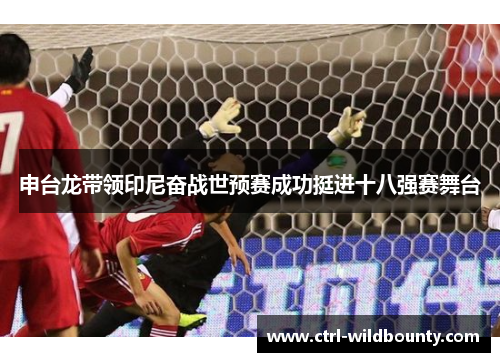 申台龙带领印尼奋战世预赛成功挺进十八强赛舞台