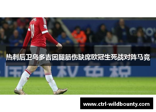 热刺后卫乌多吉因腿筋伤缺席欧冠生死战对阵马竞
