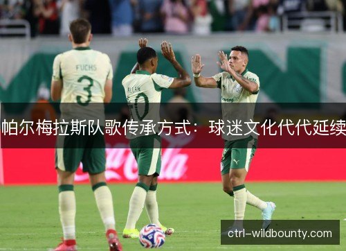 帕尔梅拉斯队歌传承方式:球迷文化代代延续 帕尔梅拉斯队歌传承方式:球迷文化代代延续