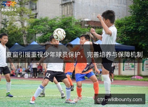 夏窗引援重视少年球员保护,完善培养与保障机制 夏窗引援重视少年球员保护,完善培养与保障机制