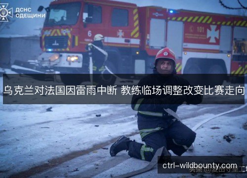乌克兰对法国因雷雨中断 教练临场调整改变比赛走向